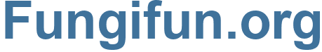 Fungifun.org - Fungifun Website