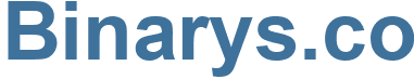 Binarys.co - Binarys Website