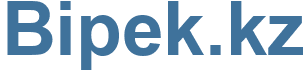 Bipek.kz - Bipek Website
